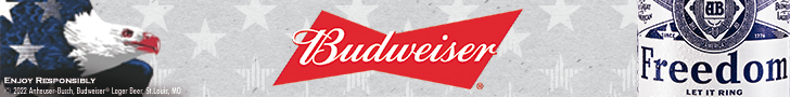 budweiser_banner_ad